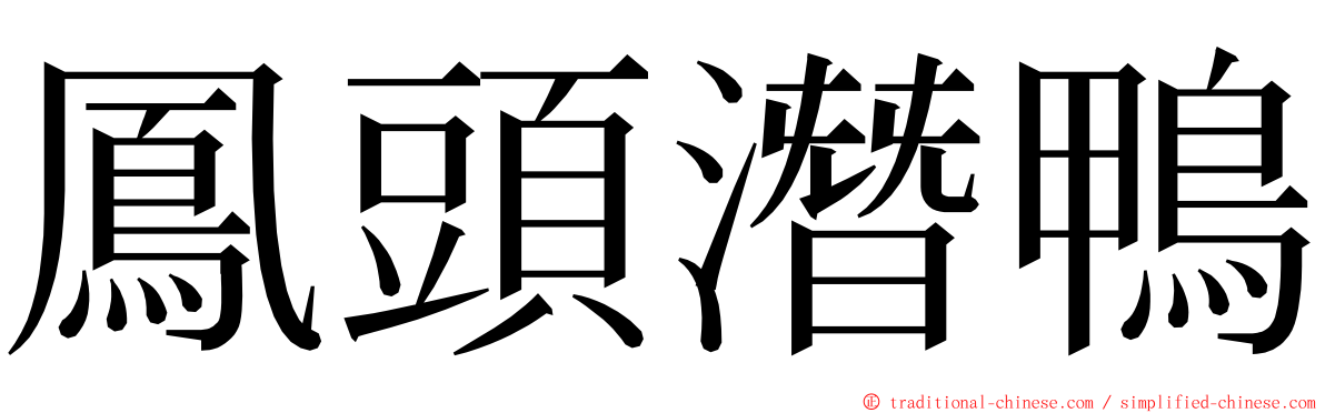 鳳頭潛鴨 ming font