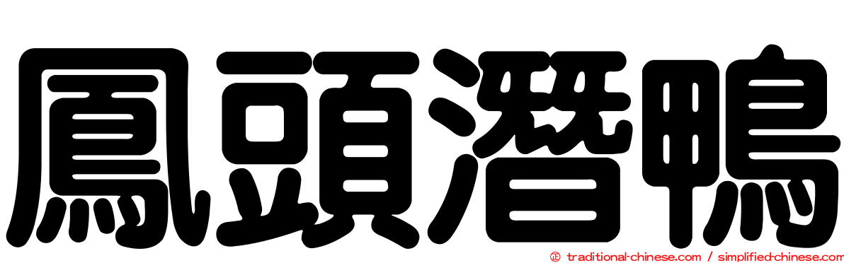 鳳頭潛鴨