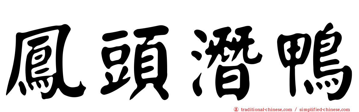 鳳頭潛鴨