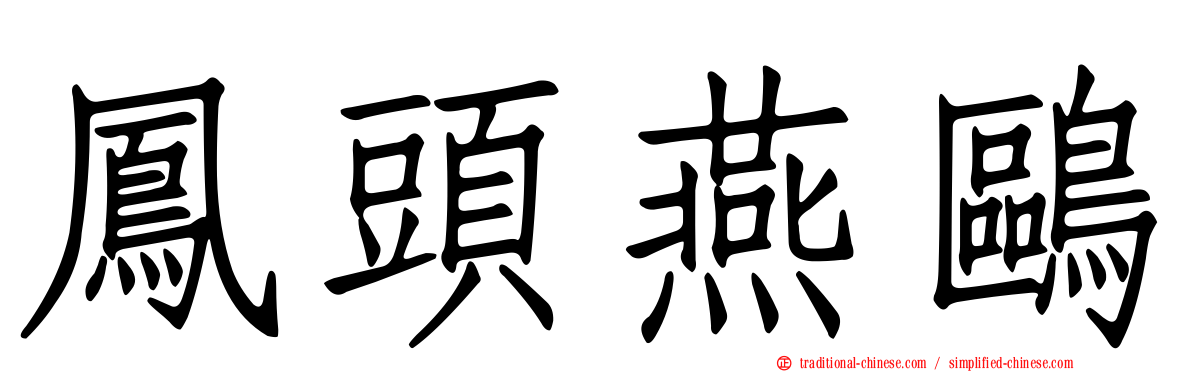 鳳頭燕鷗