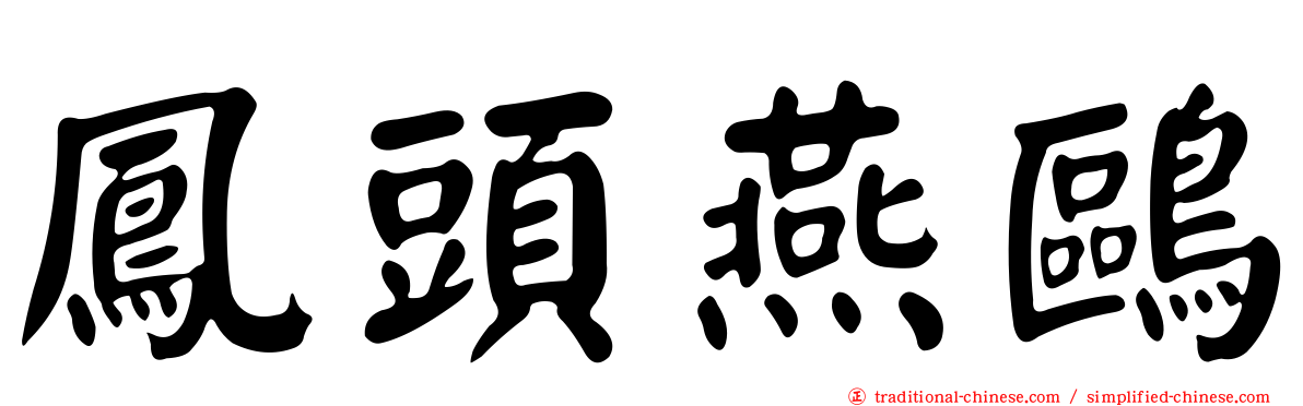鳳頭燕鷗