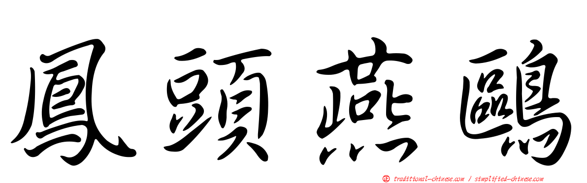鳳頭燕鷗