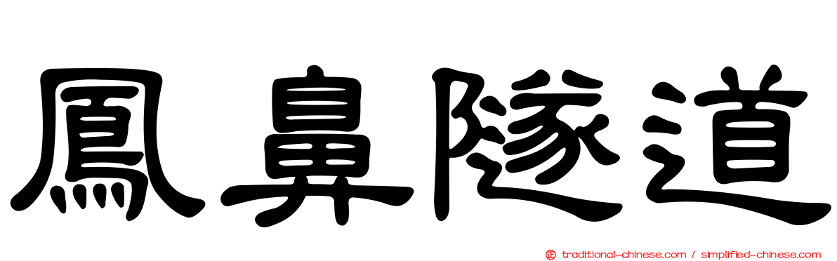 鳳鼻隧道