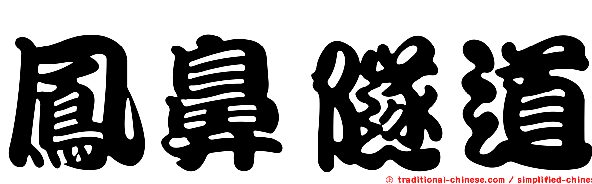 鳳鼻隧道