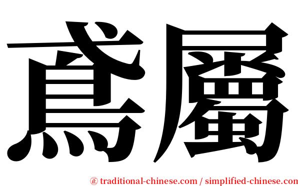 鳶屬 serif font