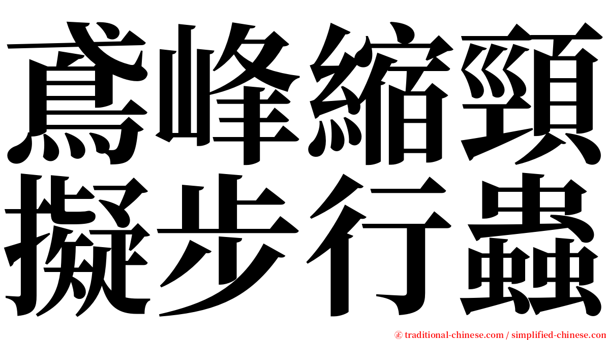 鳶峰縮頸擬步行蟲 serif font