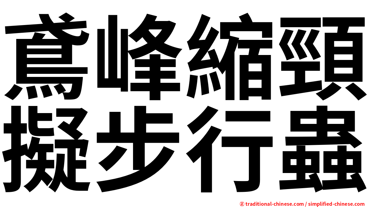 鳶峰縮頸擬步行蟲