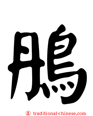 鴅