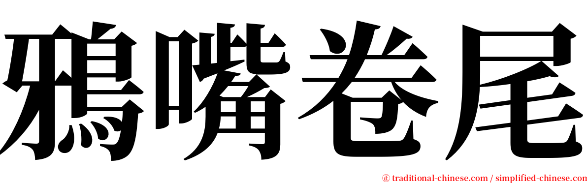 鴉嘴卷尾 serif font