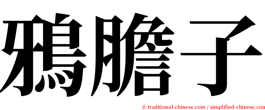 鴉膽子 serif font