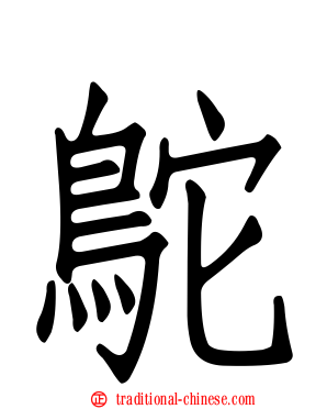 鴕