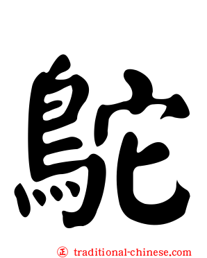 鴕