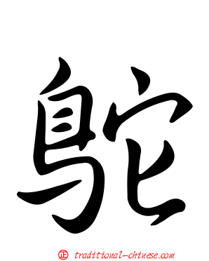 鴕