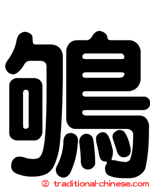 鴝