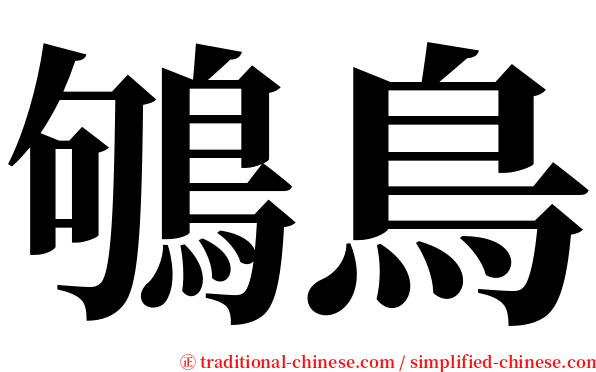 鴝鳥 serif font
