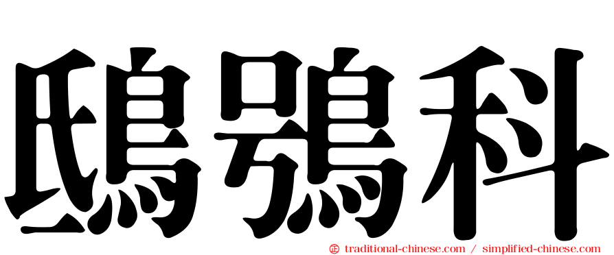 鴟鴞科