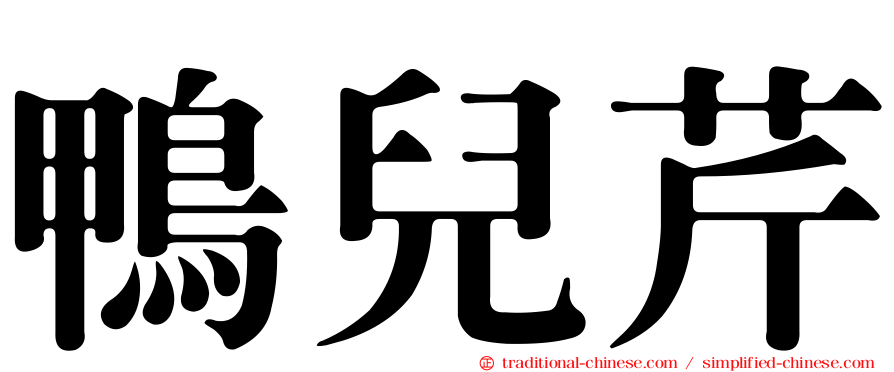鴨兒芹