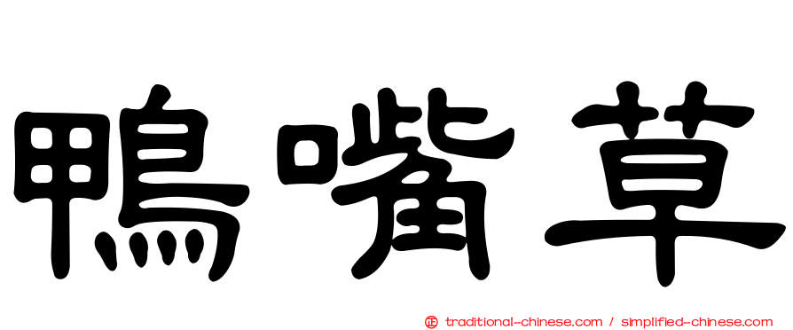 鴨嘴草