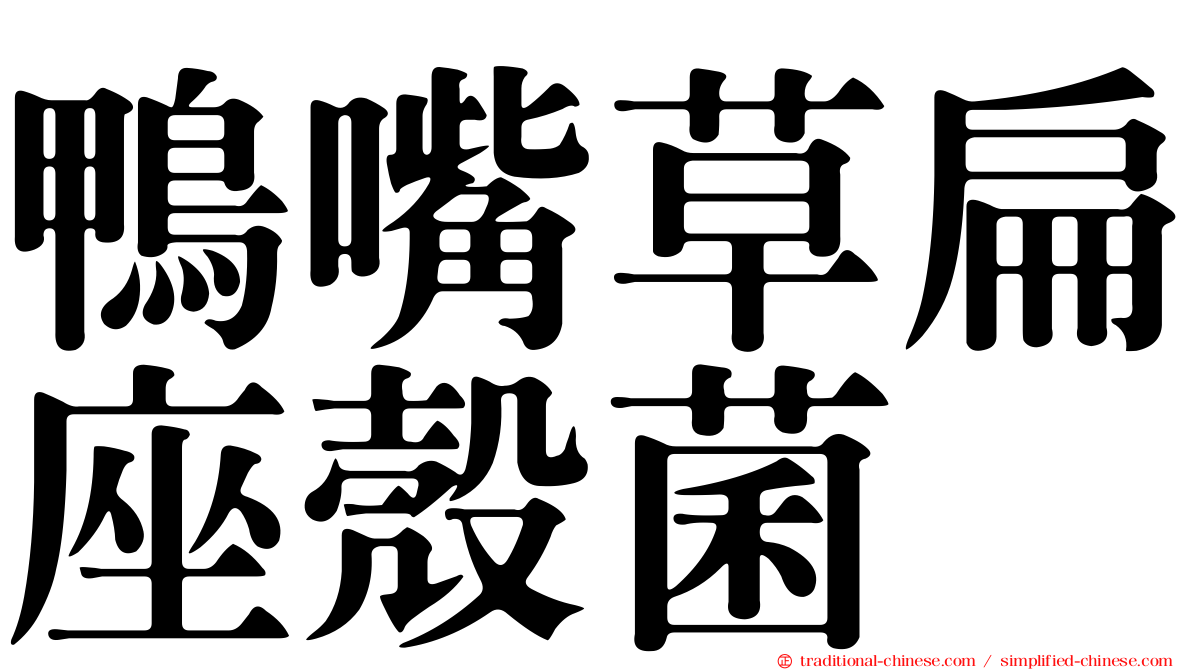鴨嘴草扁座殼菌