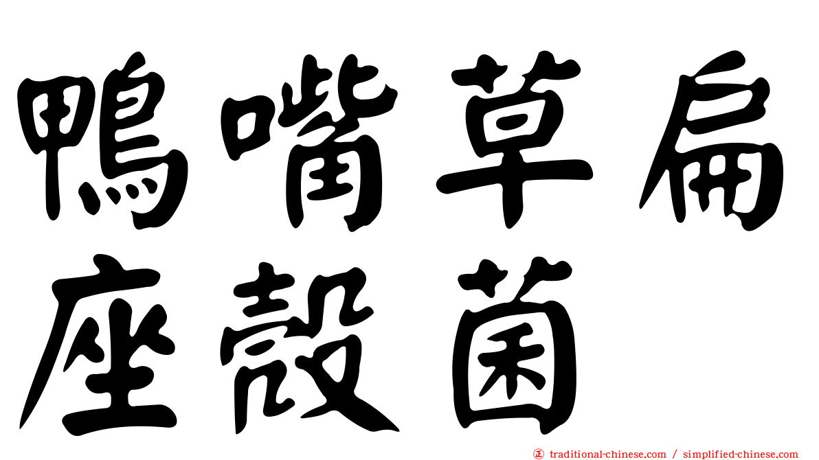 鴨嘴草扁座殼菌