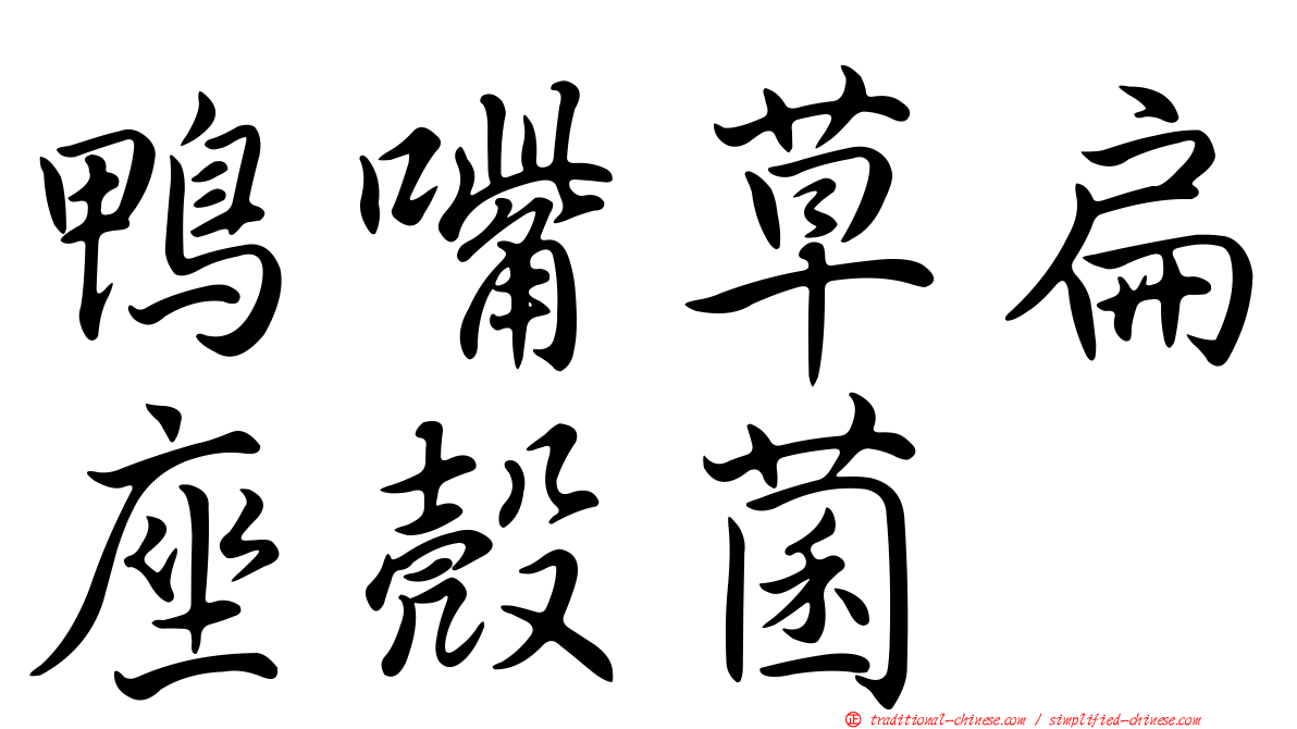 鴨嘴草扁座殼菌