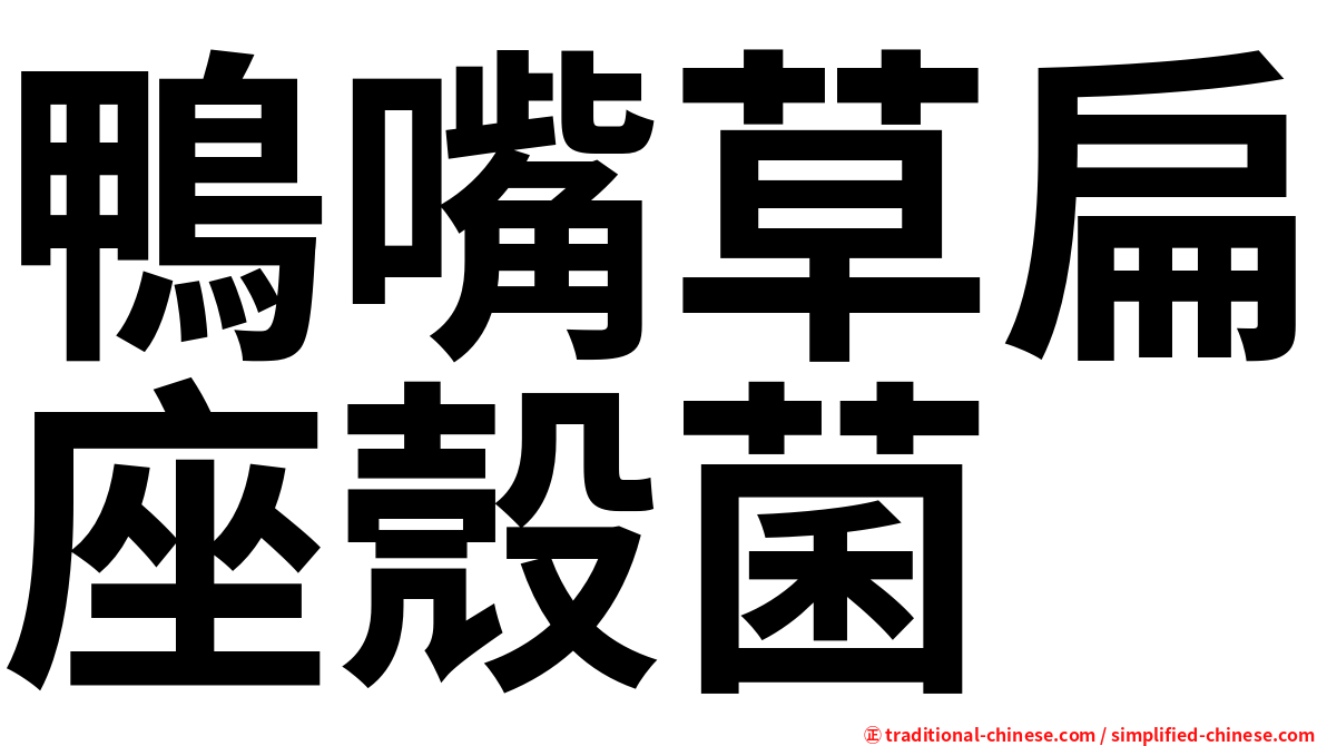 鴨嘴草扁座殼菌