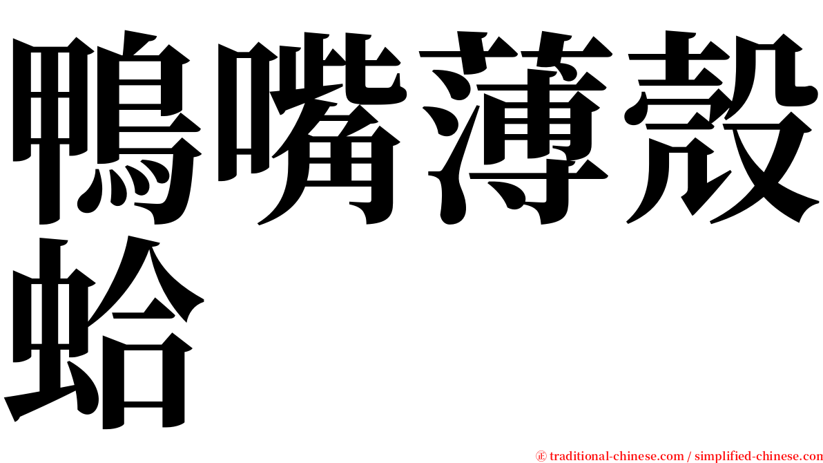 鴨嘴薄殼蛤 serif font
