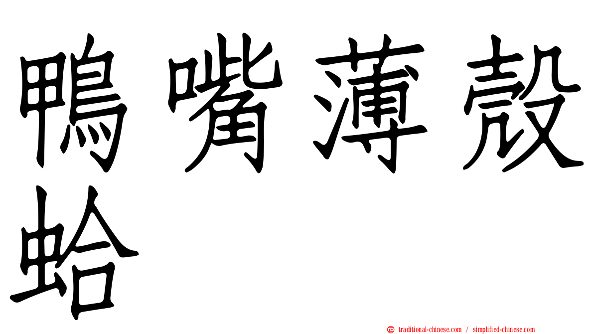 鴨嘴薄殼蛤