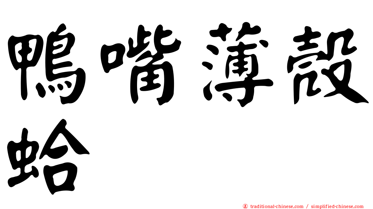 鴨嘴薄殼蛤