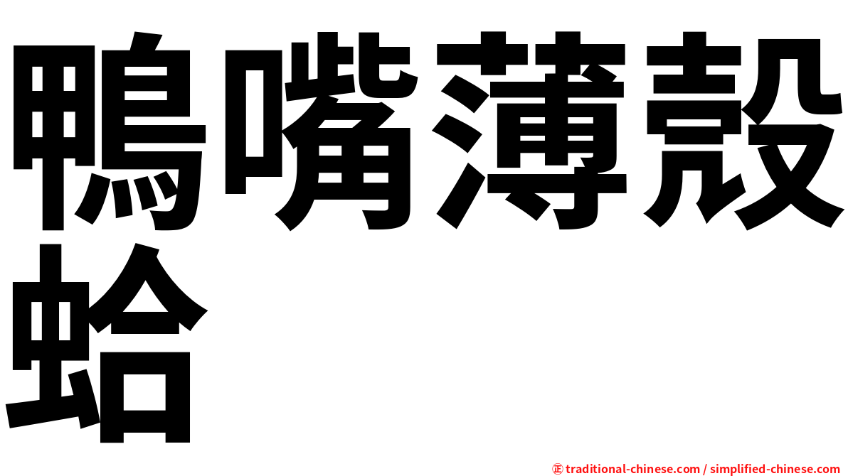 鴨嘴薄殼蛤