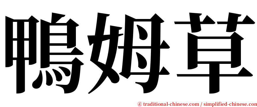 鴨姆草 serif font