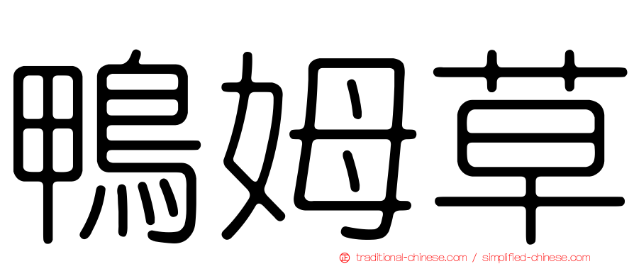 鴨姆草