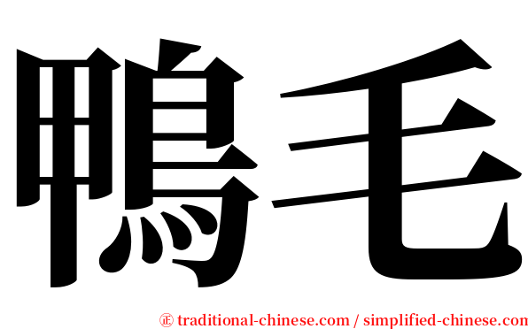 鴨毛 serif font