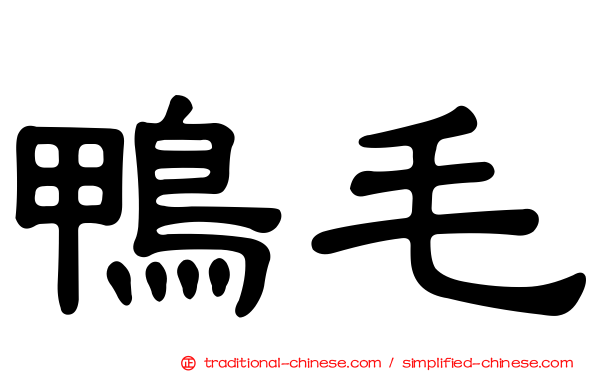 鴨毛