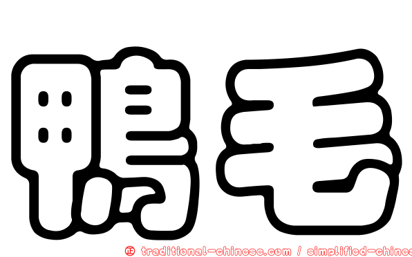 鴨毛