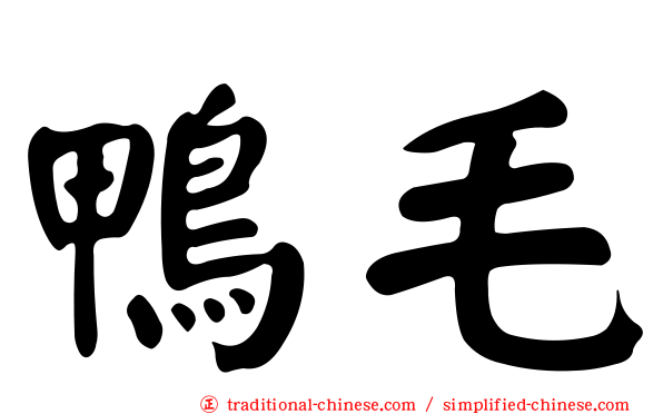 鴨毛