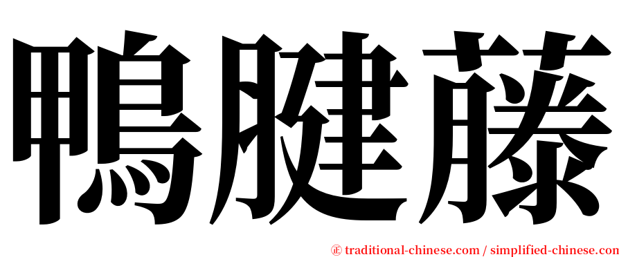 鴨腱藤 serif font