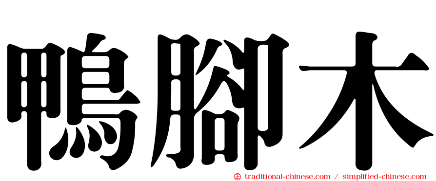 鴨腳木