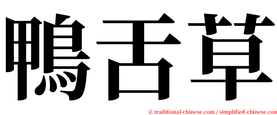 鴨舌草 serif font