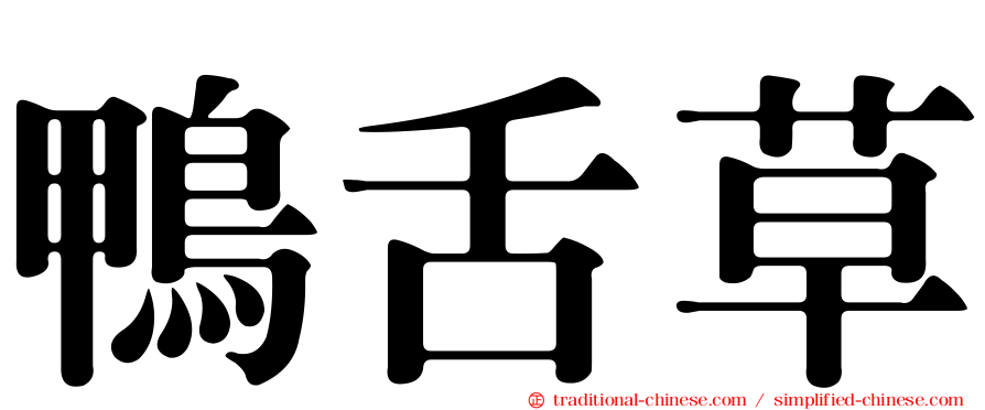 鴨舌草