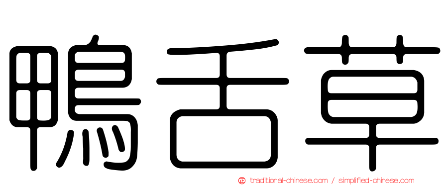 鴨舌草