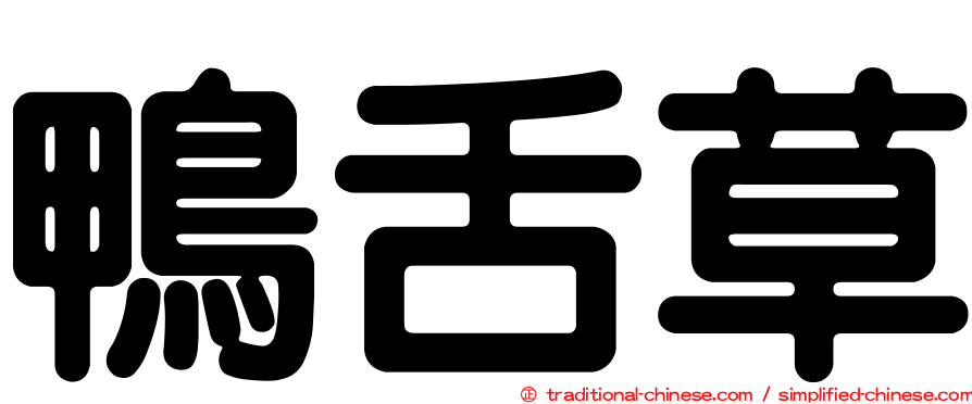 鴨舌草
