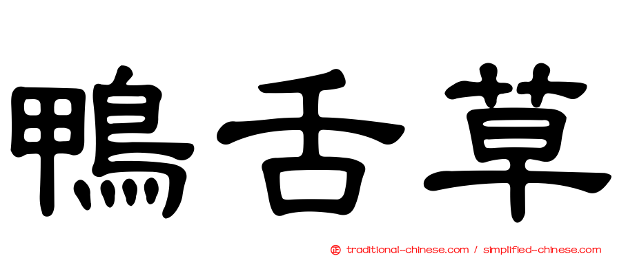 鴨舌草