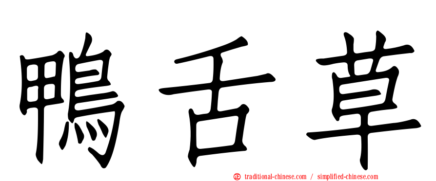 鴨舌草