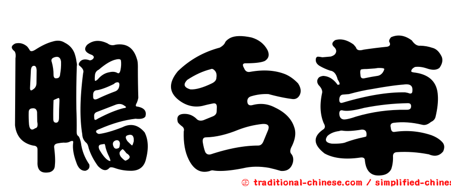 鴨舌草