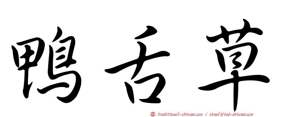 鴨舌草