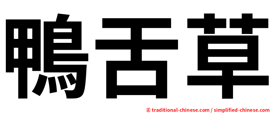 鴨舌草