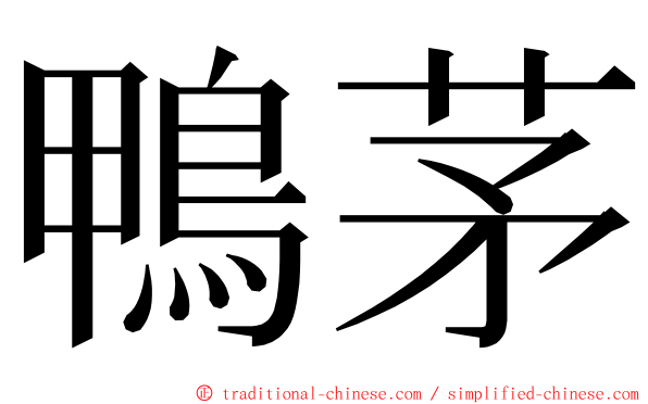 鴨茅 ming font