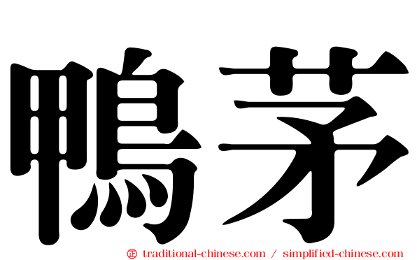 鴨茅