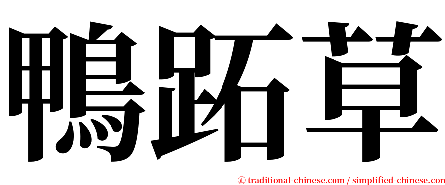鴨跖草 serif font